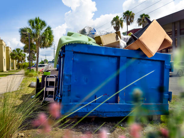 Best Professional Junk Removal  in Chesapeake, WV